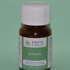 Alchémille