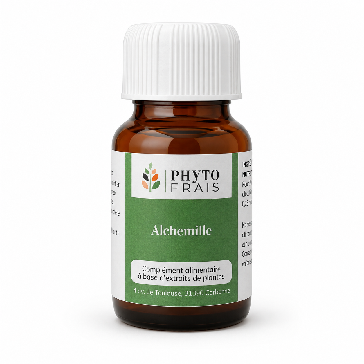 Alchémille